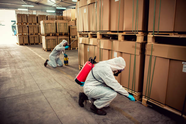 Trusted Estacada, OR Pest Control Experts