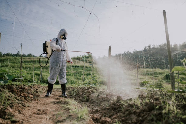 Best Pest Control Near Me  in Estacada, OR