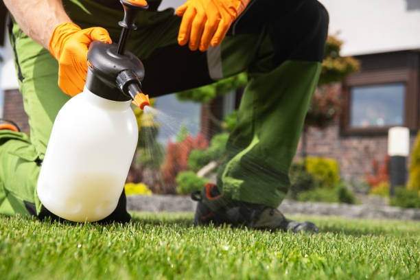 Best Best Pest Control Companies  in Estacada, OR