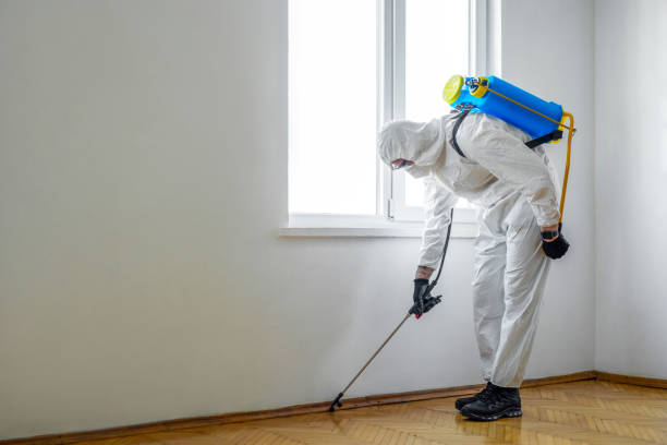 Best Best Pest Control Companies  in Estacada, OR