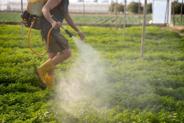Best Pest Prevention Services  in Estacada, OR