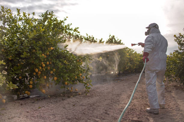 Best Local Pest Control Services  in Estacada, OR