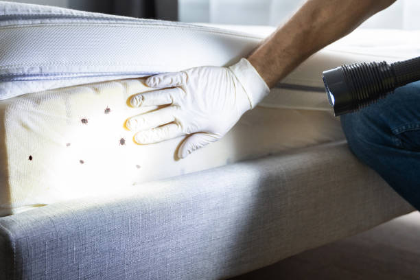 Pest Control Cost in Estacada, OR