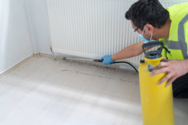 Best Mosquito Control Services  in Estacada, OR